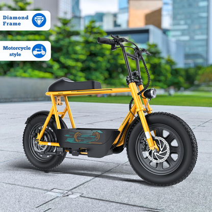 CruzeFlex UrbanPro X1